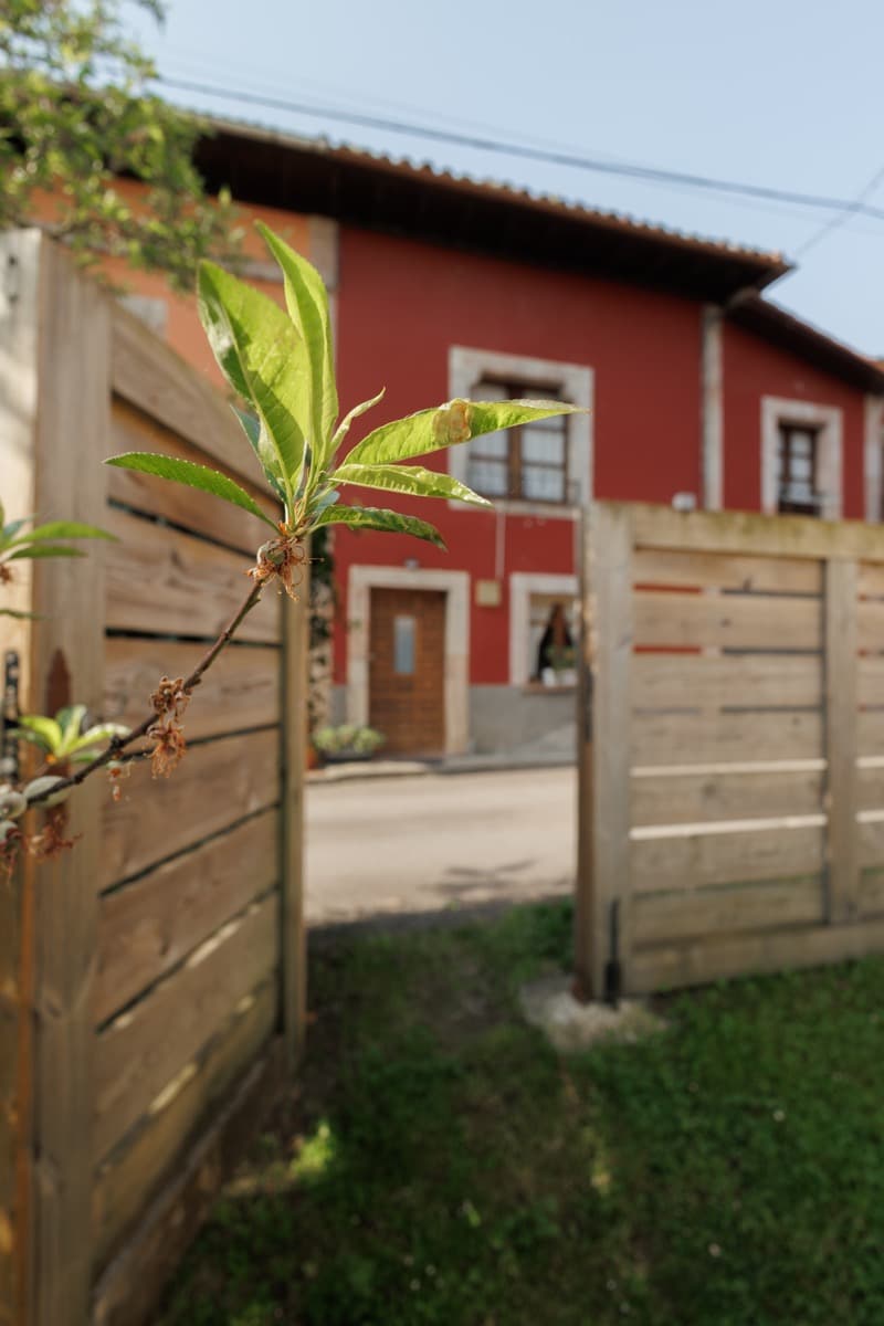 Exterior de Amada Sara